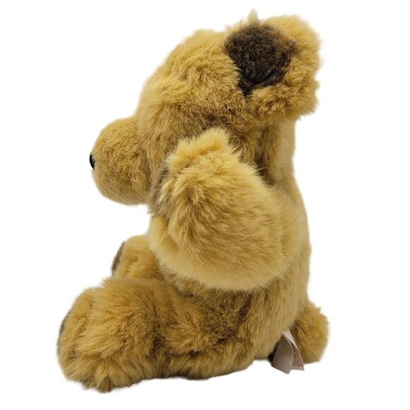 2/$15 Dan Dee Classic Teddy Bear Plush Brown 13" Dark Brown Paws Ears Black Nose - Picture 3 of 9
